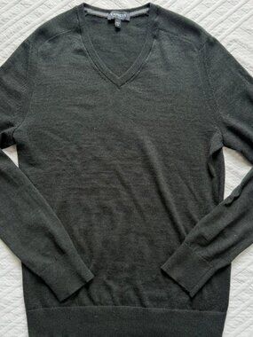 Express Merino Wool Blend V-Neck Sweater Green/Black